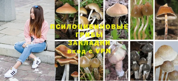 прущий лед Каменногорск