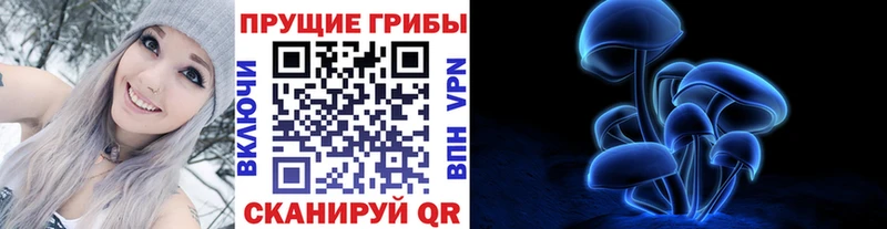 Галлюциногенные грибы Psilocybe Купить Железноводск